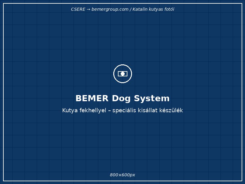 BEMER Dog System kutyáknak